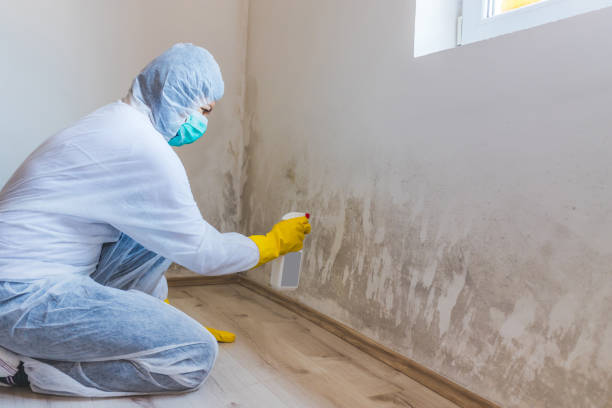 Hvac And Air Duct Mold Remediation inspection of HVAC system in Levittown